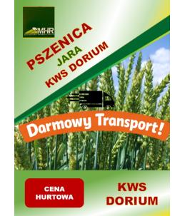 Nasiona pszenicy jarej KWS Dorium