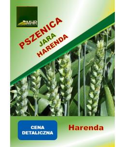 Nasiona pszenicy jarej - HARENDA