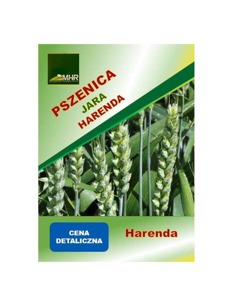 Nasiona pszenicy jarej - HARENDA