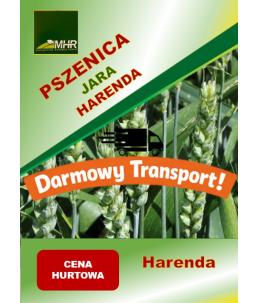 Nasiona pszenicy jarej - HARENDA