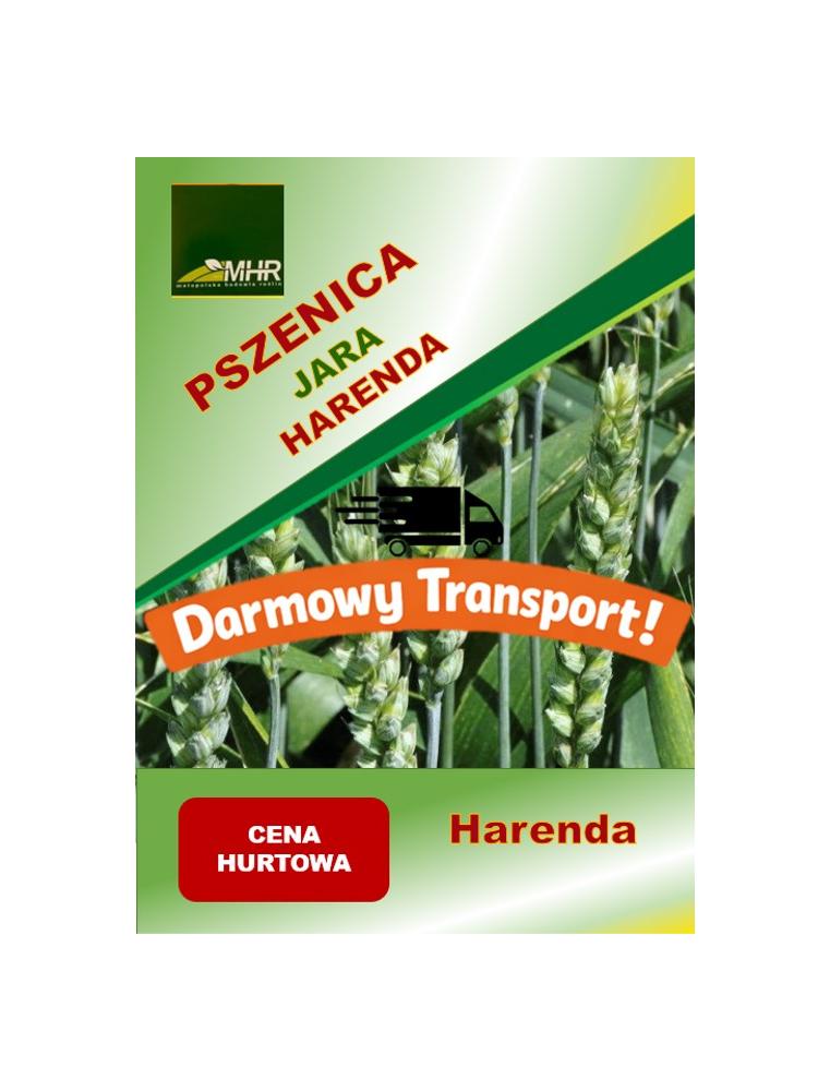 Nasiona pszenicy jarej - HARENDA