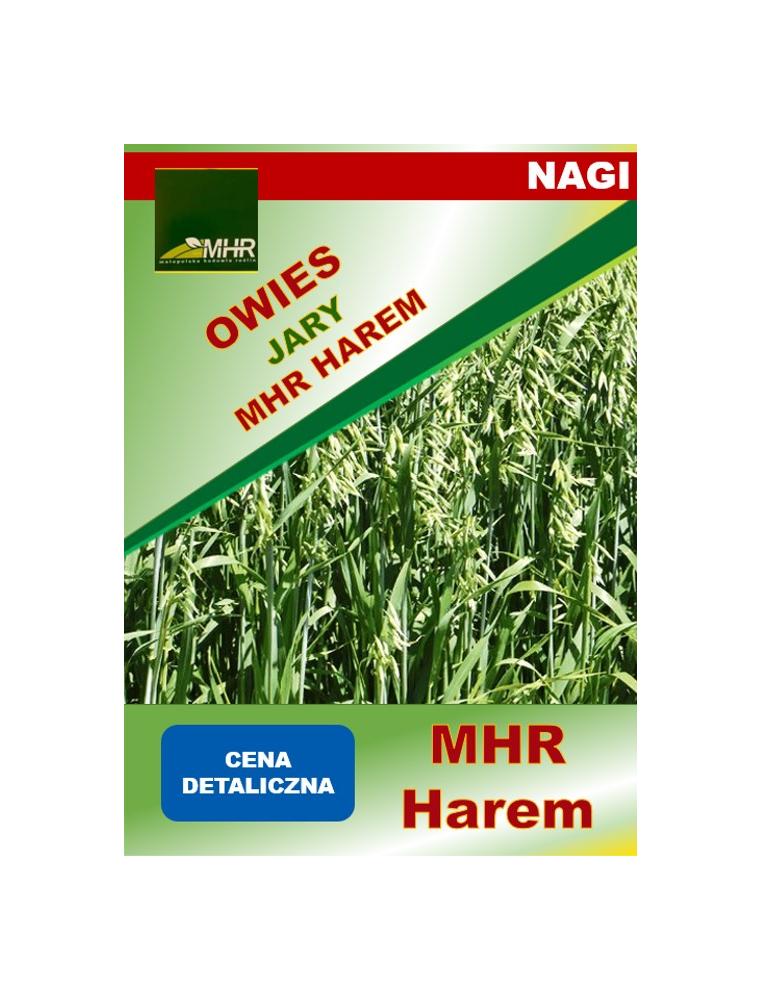 Nasiona owsa nagiego MHR Harem