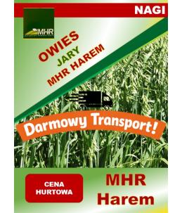 Nasiona owsa nagiego MHR Harem hurt