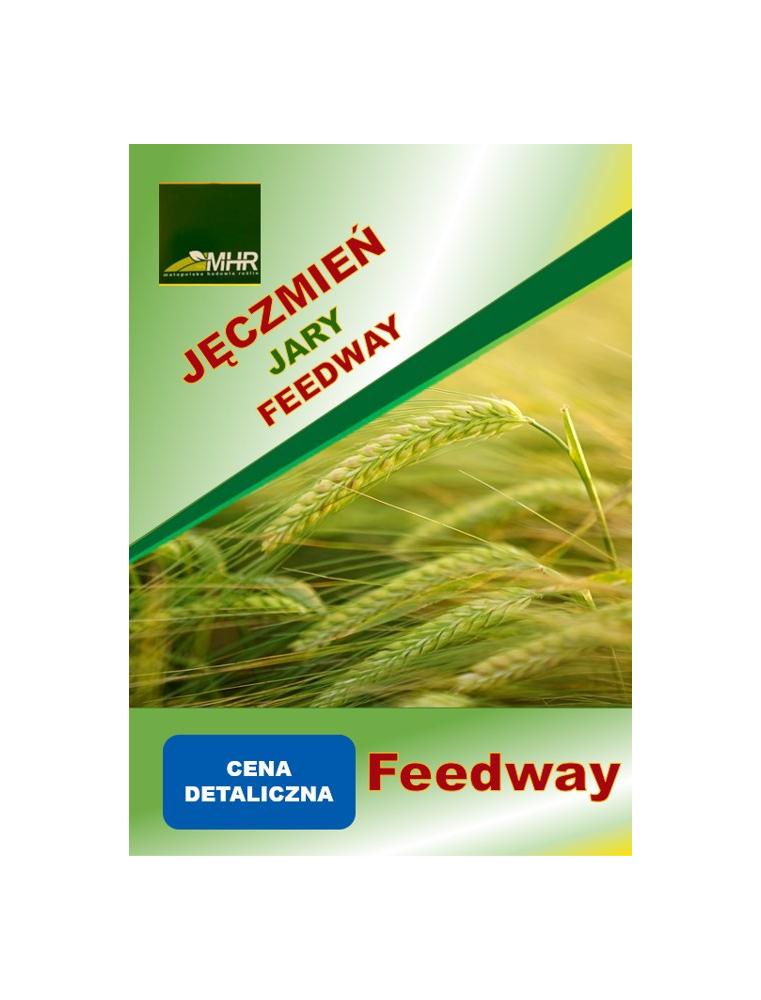 Nasiona jęczmienia jarego FEEDWAY