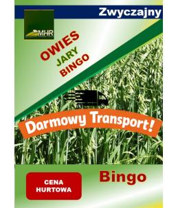 Nasiona owsa zwyczajnego BINGO hurt