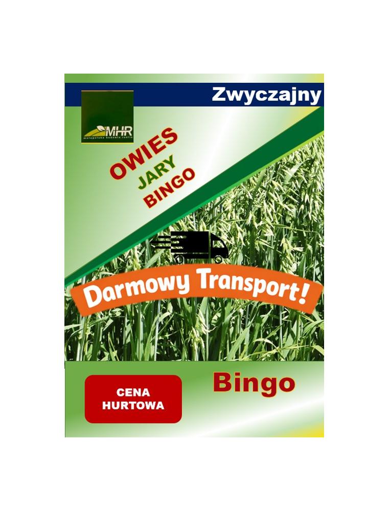 Nasiona owsa zwyczajnego BINGO hurt