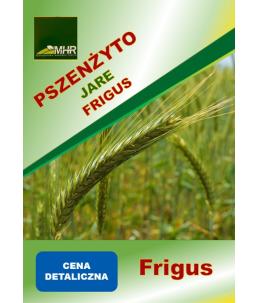 Nasiona pszenżyta jarego- FRIGUS