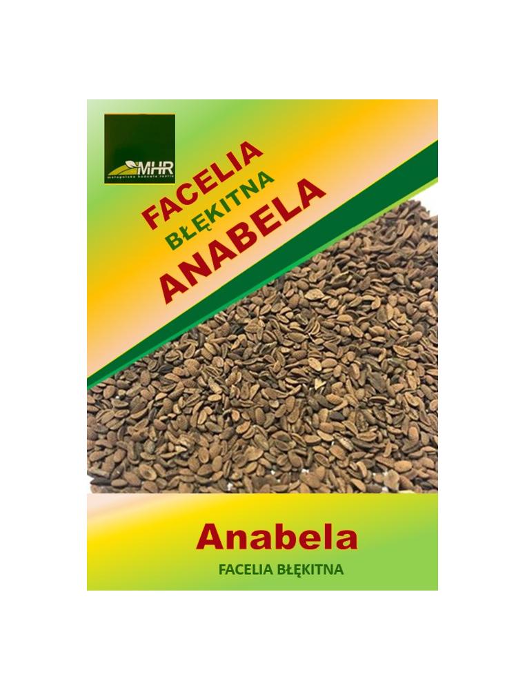 Nasiona facelii błękitnej Anabela- NASIONA