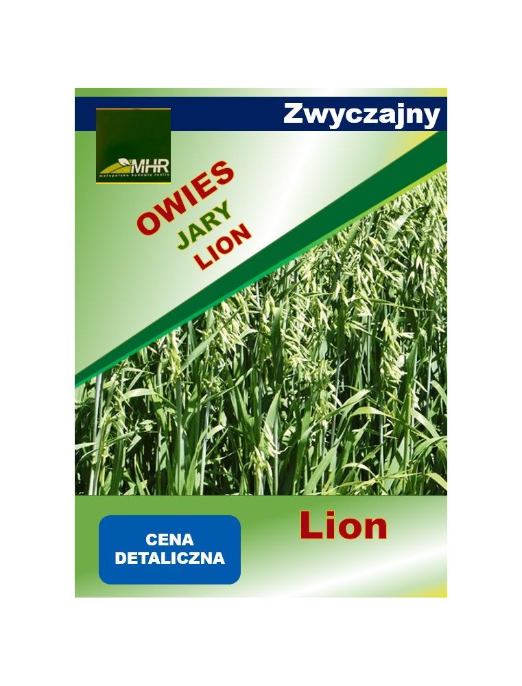 Nasiona owsa zwyczajnego LION