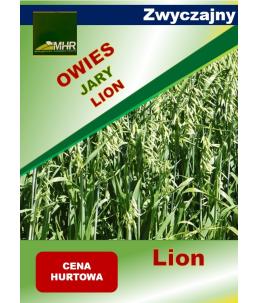 Nasiona owsa zwyczajnego LION