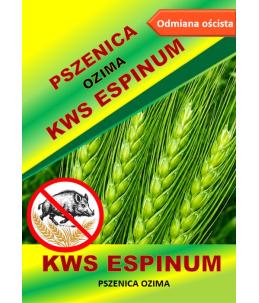 Nasiona pszenicy ozimej - KWS ESPINUM