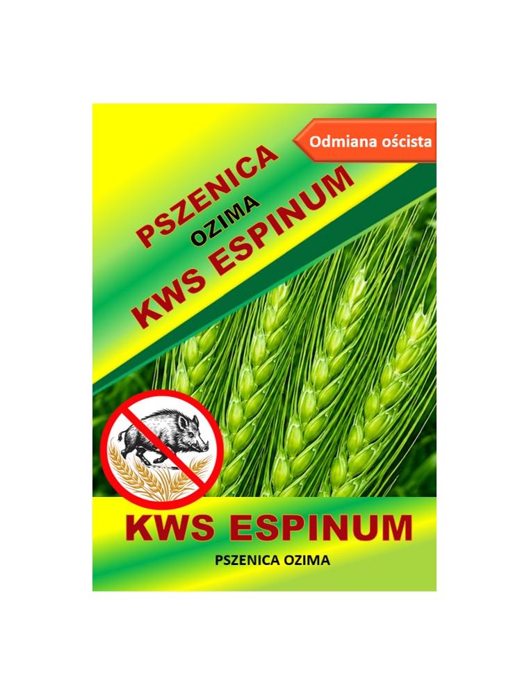 Nasiona pszenicy ozimej - KWS ESPINUM