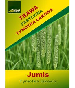 Nasiona tymotki łąkowej-Jumis