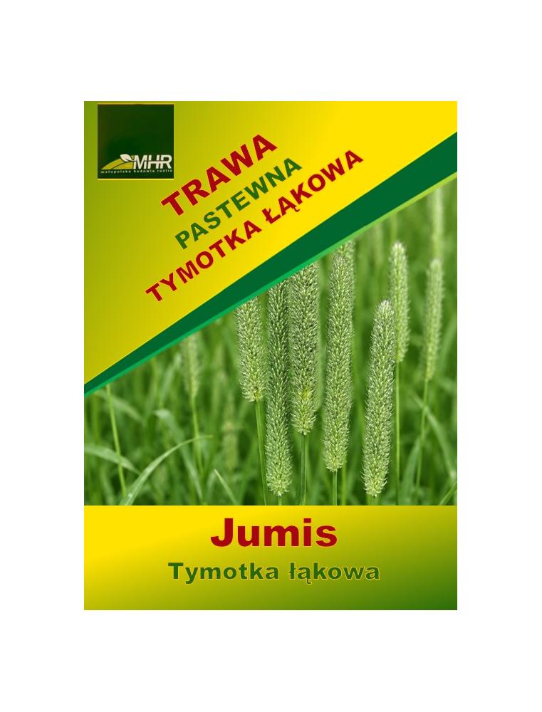 Nasiona tymotki łąkowej-Jumis