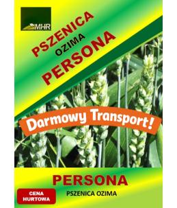 Nasiona pszenicy ozimej - PERSONA