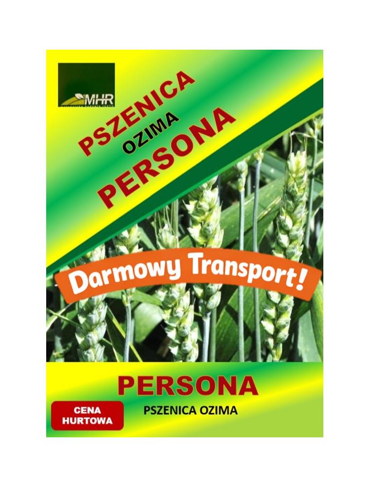 Nasiona pszenicy ozimej - PERSONA
