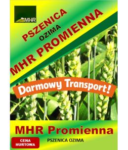 Nasiona pszenicy ozimej - MHR PROMIENNA