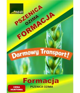 Nasiona pszenicy ozimej –FORMACJA