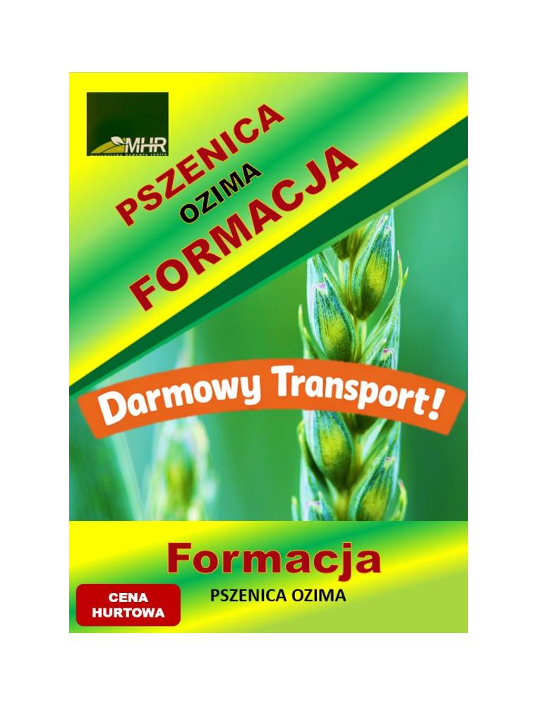 Nasiona pszenicy ozimej –FORMACJA