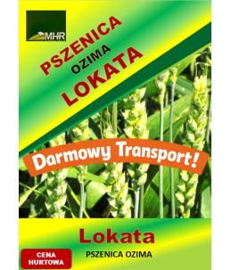 Nasiona pszenicy ozimej- LOKATA