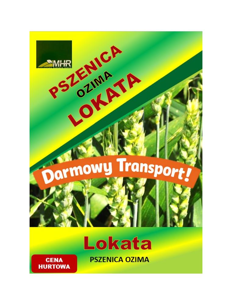 Nasiona pszenicy ozimej- LOKATA