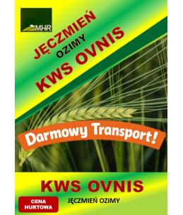 Nasiona jęczmienia ozimego – KWS OVNIS