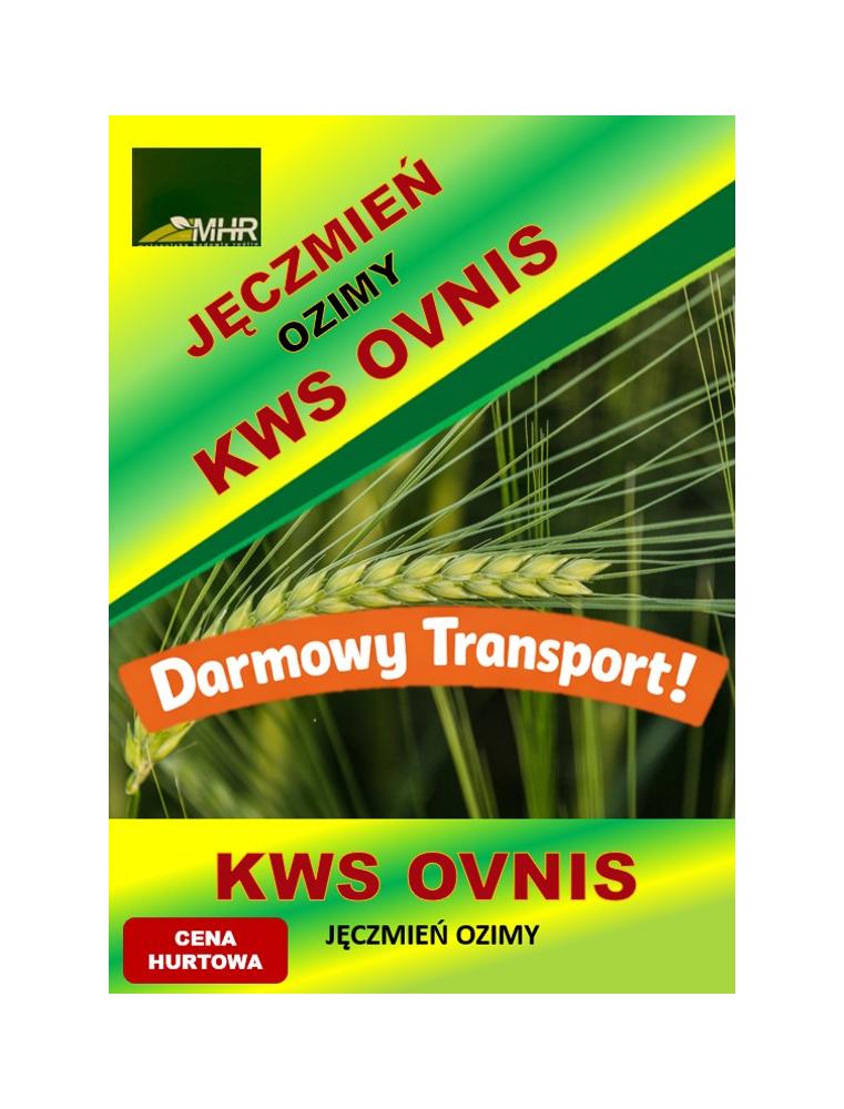 Nasiona jęczmienia ozimego – KWS OVNIS