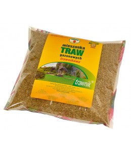 Trawa gazonowa Trawnikowa 1 kg