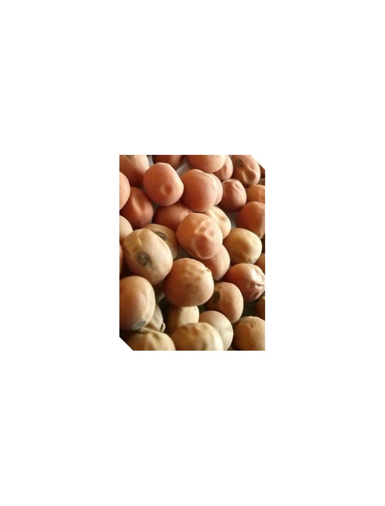 Groch siewny pastewny Milwa C1 (2 kg)