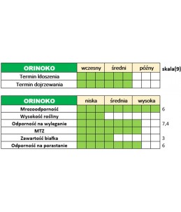 Cechy użytkowo-rolnicze pszenżyta ozimego - ORINOKO