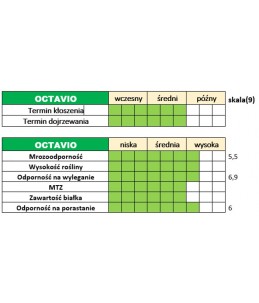 Cechy użytkowo-rolnicze pszenżyta ozimego – OCTAVIO.