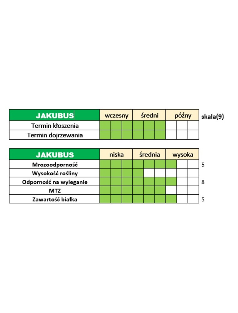 Nasiona jęczmienia ozimego – JAKUBUS