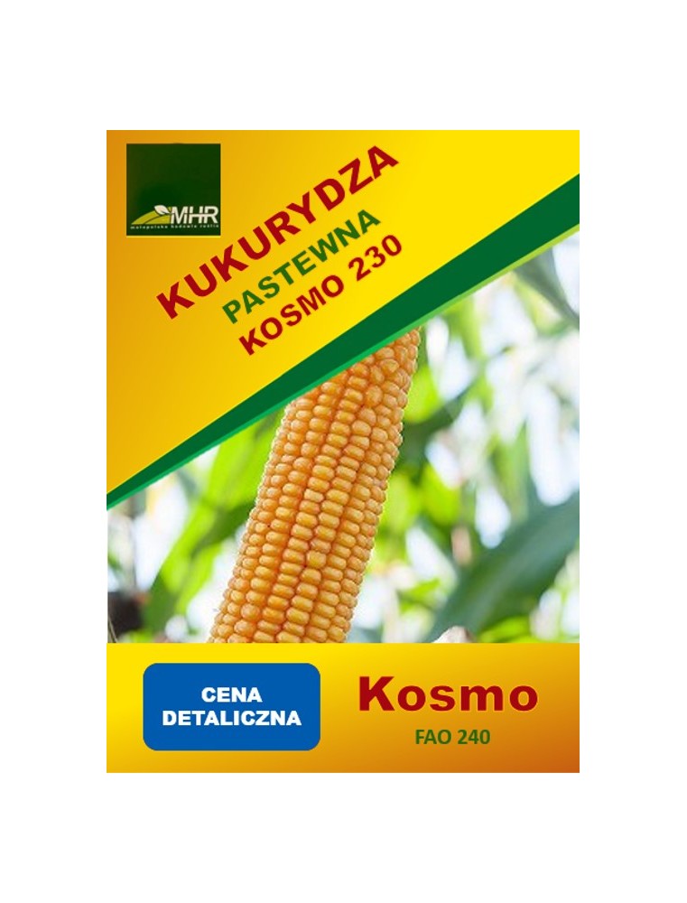 Nasiona kukurydzy pastewnej Kosmo 230