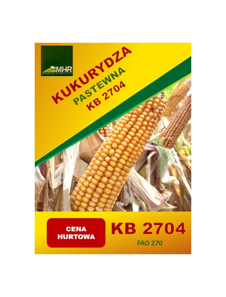 Nasiona kukurydzy pastewnej KB 2704