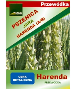 Nasiona pszenicy jarej PRZEWÓDKOWEJ- HARENDA a’50