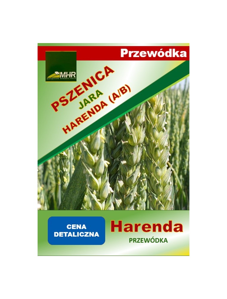 Nasiona pszenicy jarej PRZEWÓDKOWEJ- HARENDA a’50