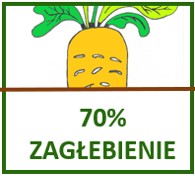 zagłebienie w ziemi buraka pastewnego-ursus poly