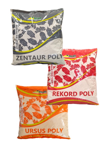 grafika -burak czerwony