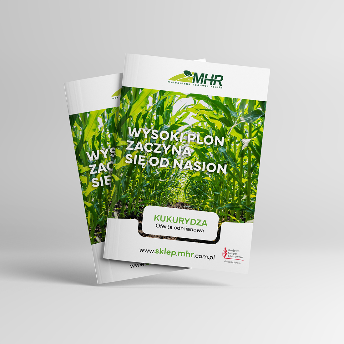 Katalog kukurydza 2026