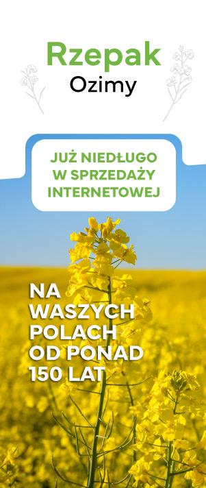 Oferta rzepak ozimy 