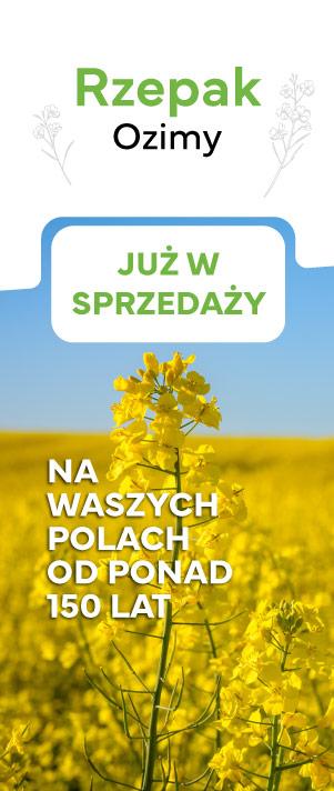 Oferta rzepak ozimy 